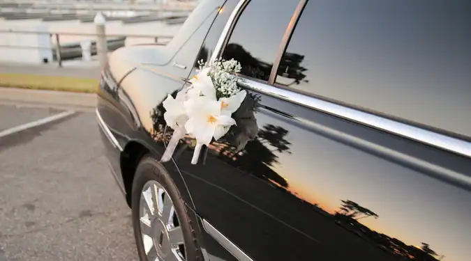 Special Event Transportation